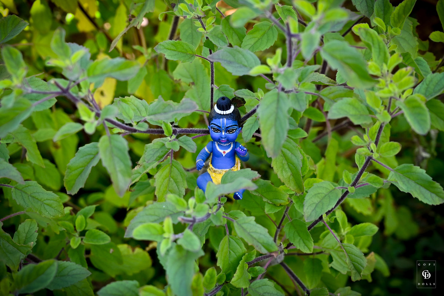 Baby Krishna | Gopa Doll